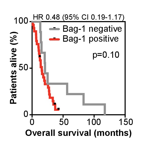 Figure 6—figure supplement 5.