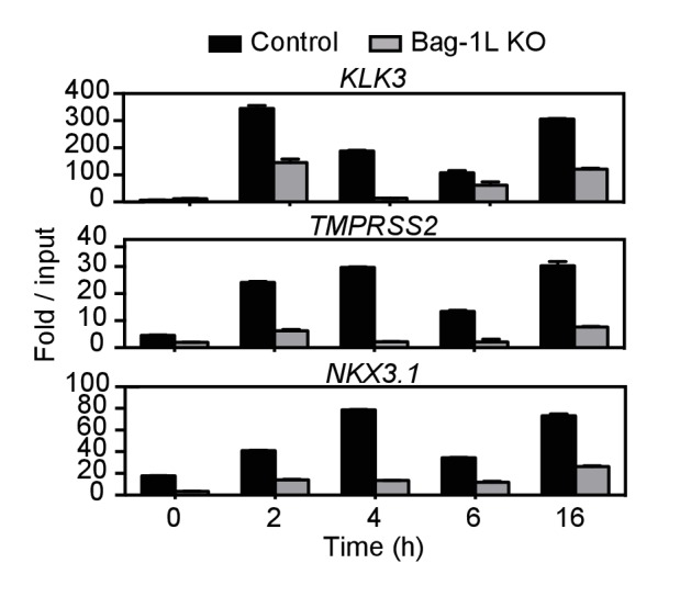 Figure 1—figure supplement 2.