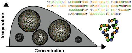 graphic file with name nihms-1019593-f0001.jpg