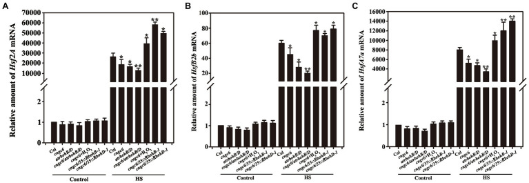 Figure 7