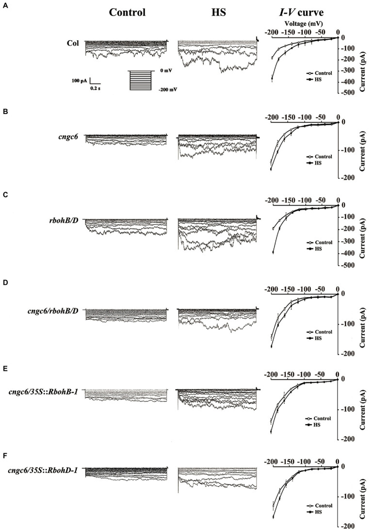 Figure 6