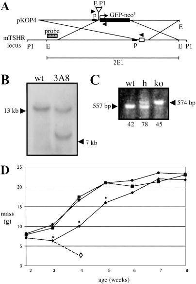 Fig 1.