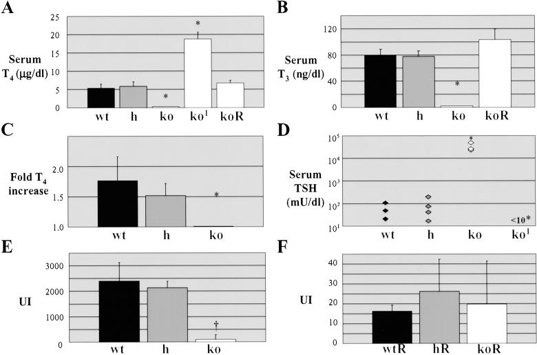 Fig 2.