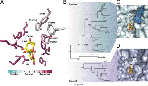 FIGURE 4.