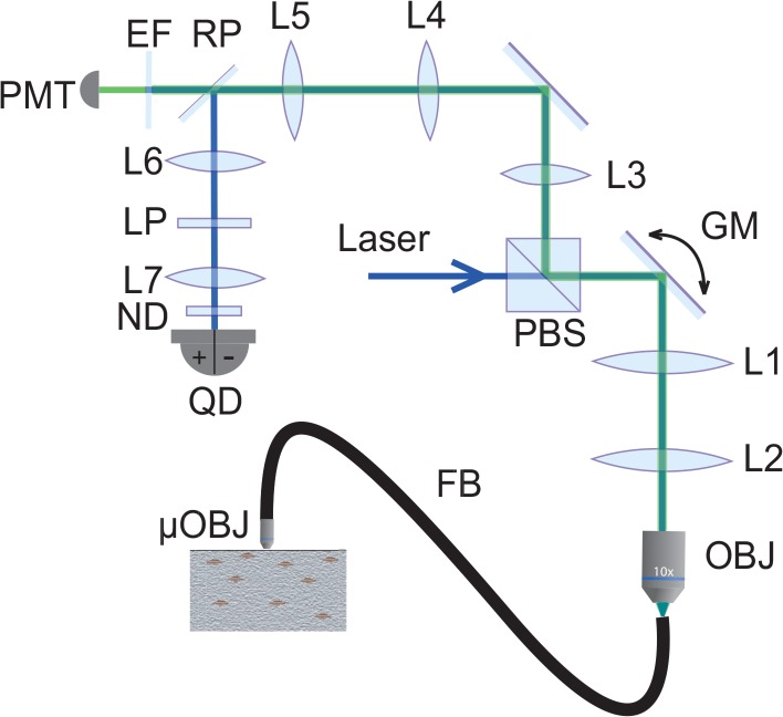 Fig. 2