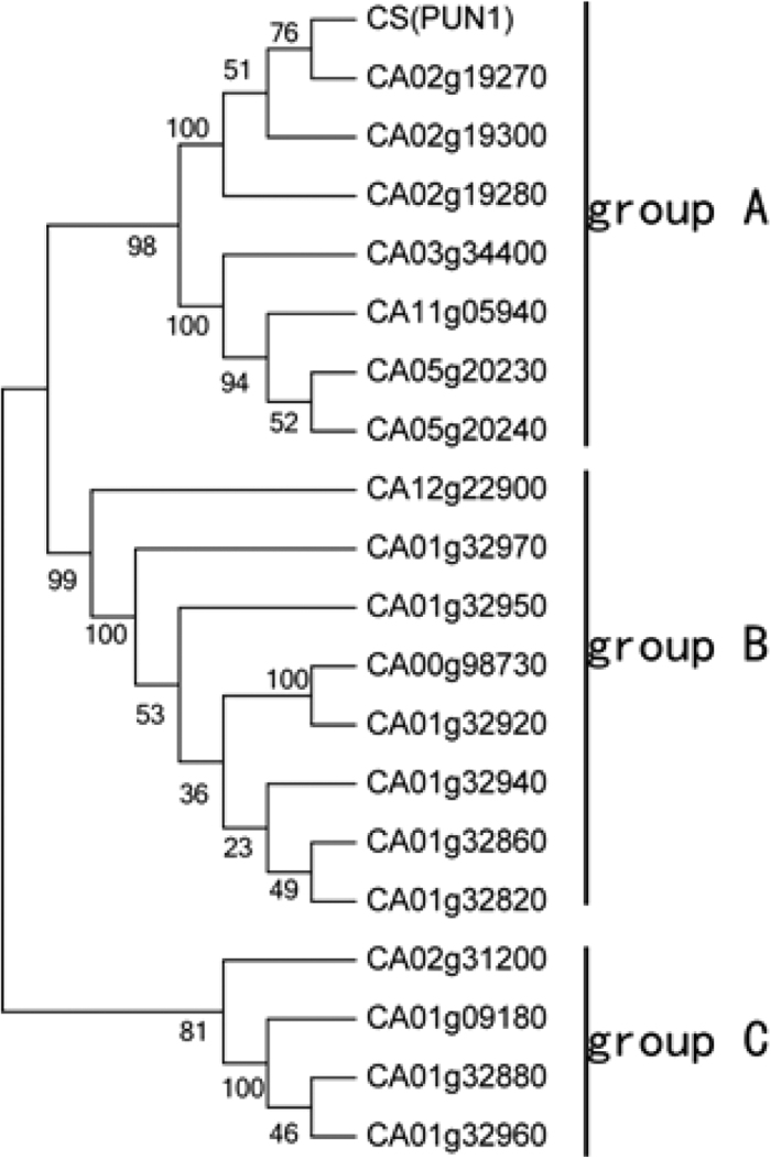 Figure 10