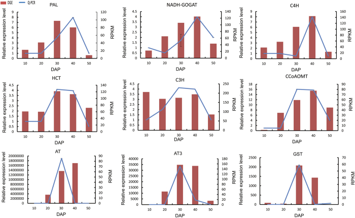 Figure 11