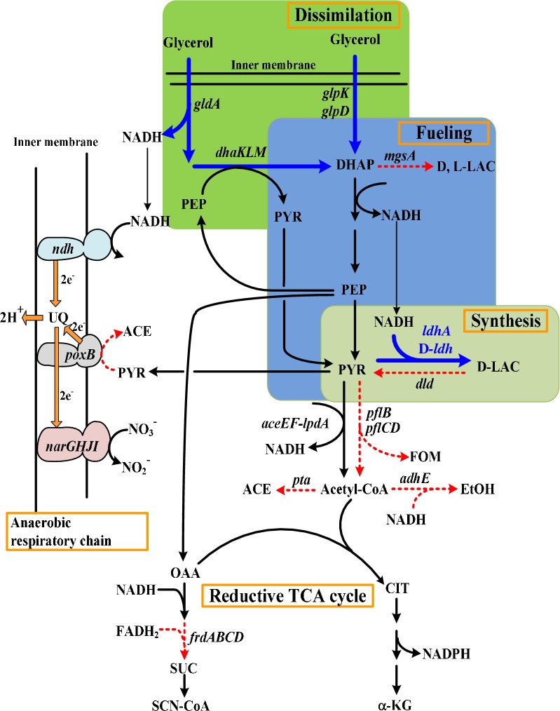 Fig. 1