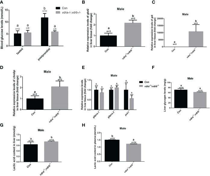 Figure 5