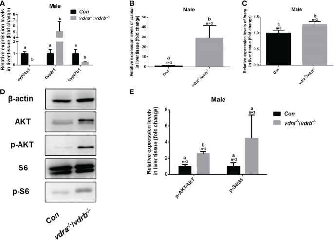 Figure 6