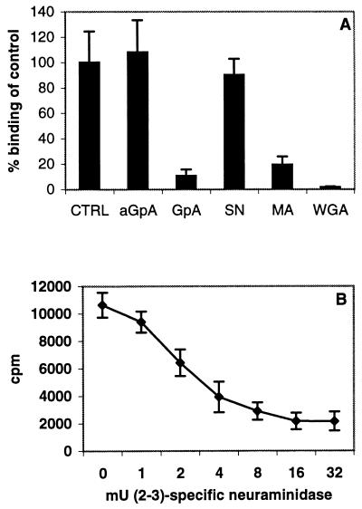 FIG. 6