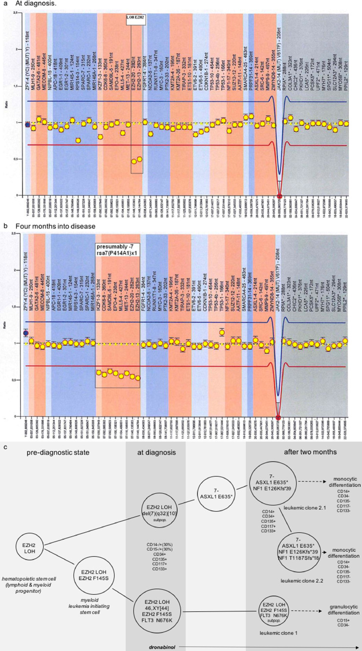 Fig. 8