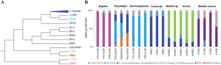 FIG 2