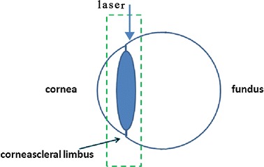 Fig. 1