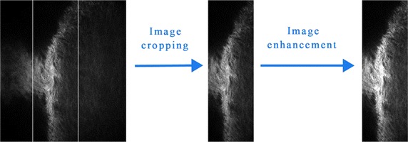 Fig. 2