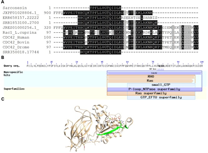 FIGURE 4