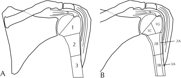 Fig. 2 A-B