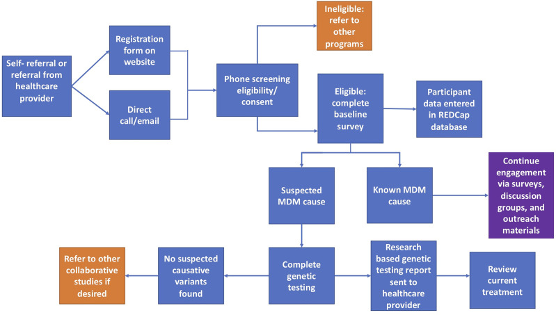 Figure 1