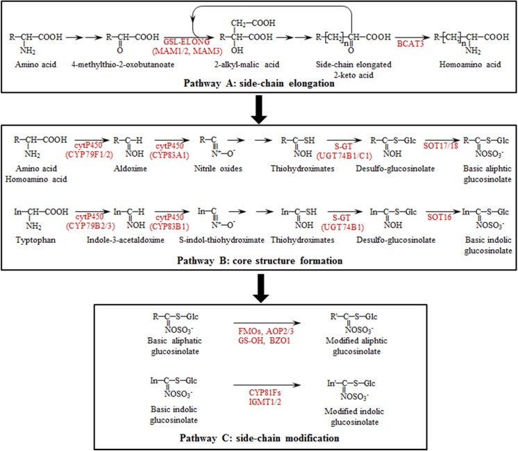 Fig 2