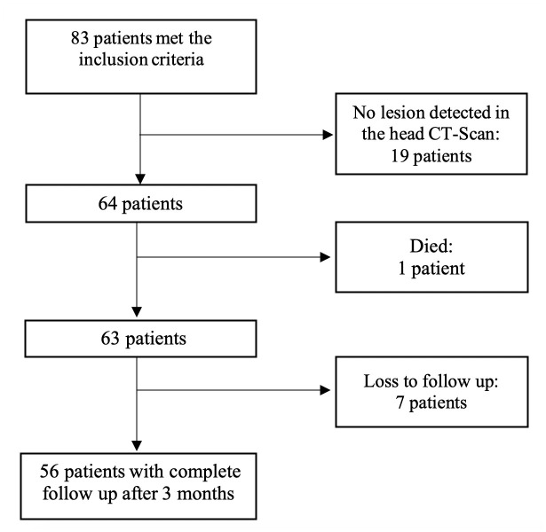 Fig 1