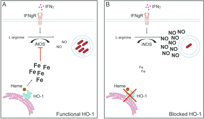 Figure 8: