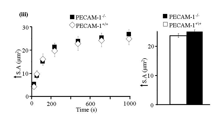 Figure 3biii above
