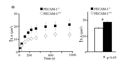 Figure 3bi above