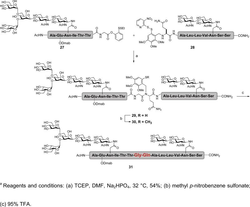 Scheme 3