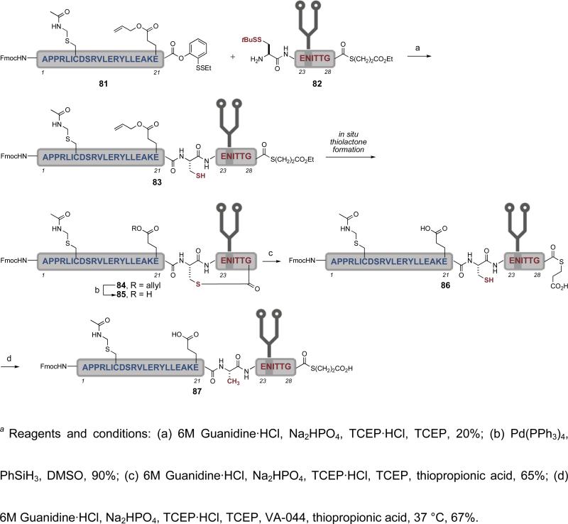 Scheme 16