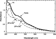 Figure 24