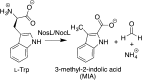 Figure 52