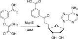 Figure 49