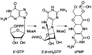 Figure 38