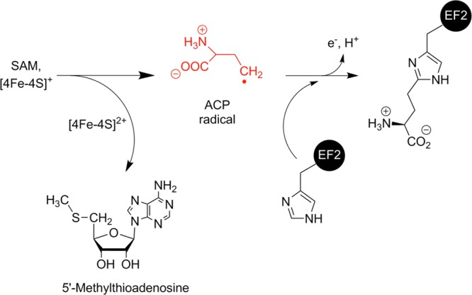 Figure 104