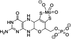 Figure 34