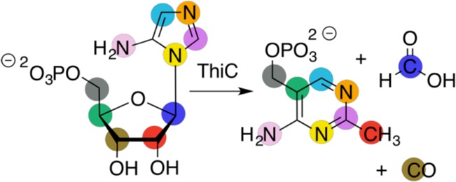 Figure 41