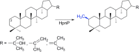 Figure 61