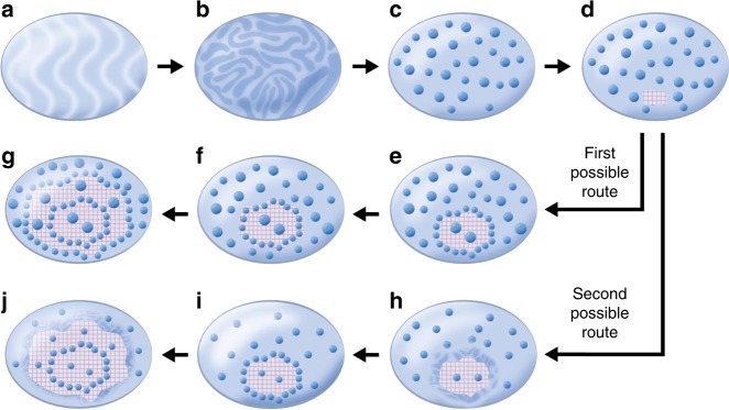 Fig. 8