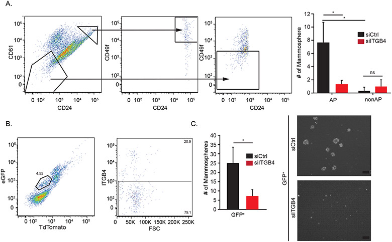 Figure 2: