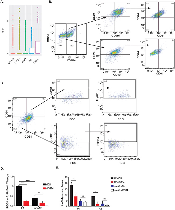 Figure 1: