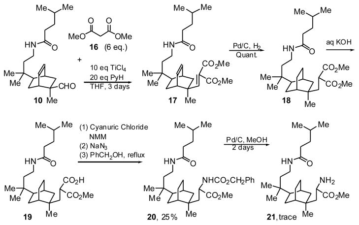 Scheme 5