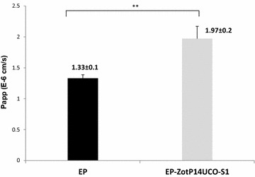 Fig. 2