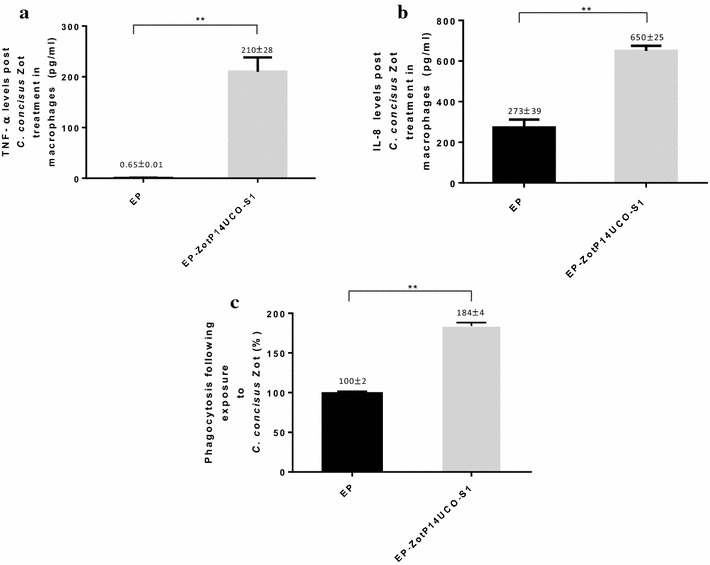 Fig. 4