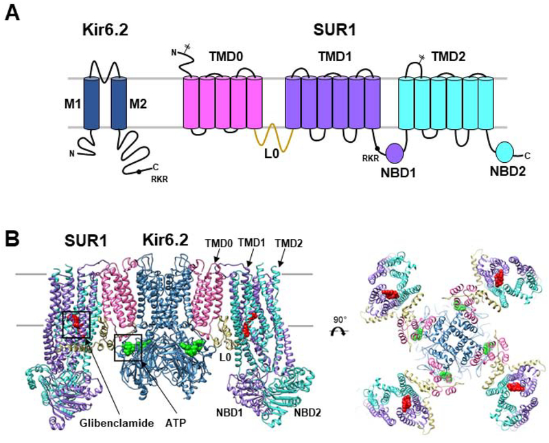 Figure 1.