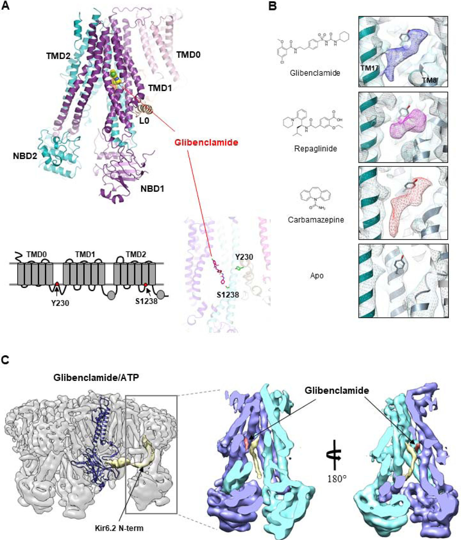 Figure 3.