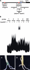 Figure 7.