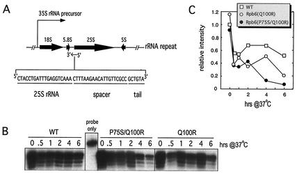 FIG. 6.