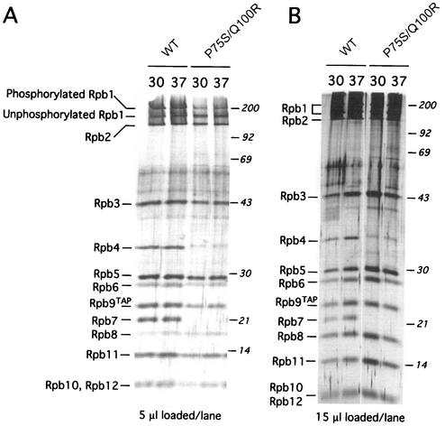 FIG. 7.