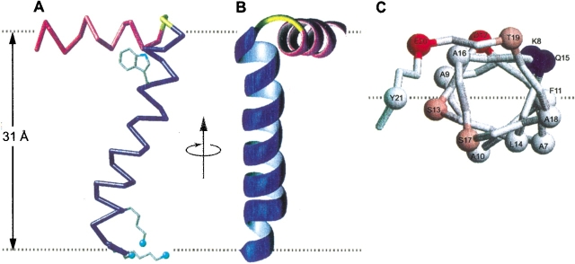 Figure 3.