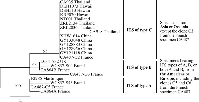 Fig 2